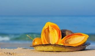 凤仙花果实成熟后果皮开裂， 种子被弹出