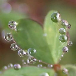 第二步：查明原因， 对症下药