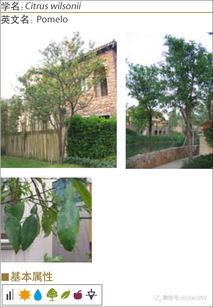 万科景观， 植物种植标准化技术标准