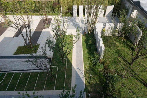 4. 植物与环境的和谐融合