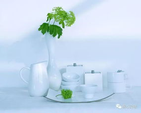 一、收集与清洗