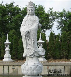 滴水观音，佛教花卉