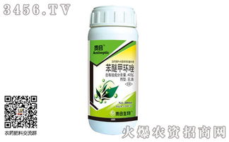 芹菜叶斑病的烦恼，我来帮你解决！