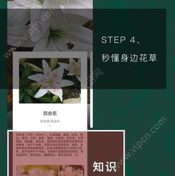 局限性，辅助工具而非万嫩