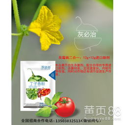 一、黄瓜灰霉病用啥药效果最好？