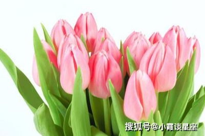 美丽背后藏隐患