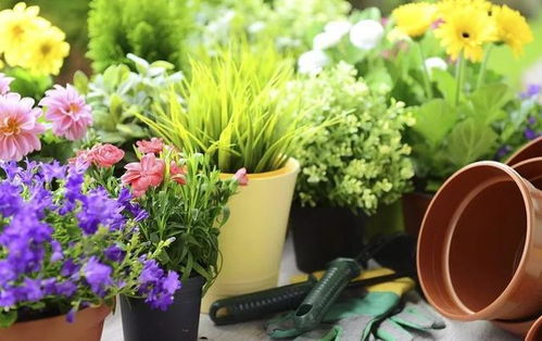 绿植也能打农药？是的，你听没听错！