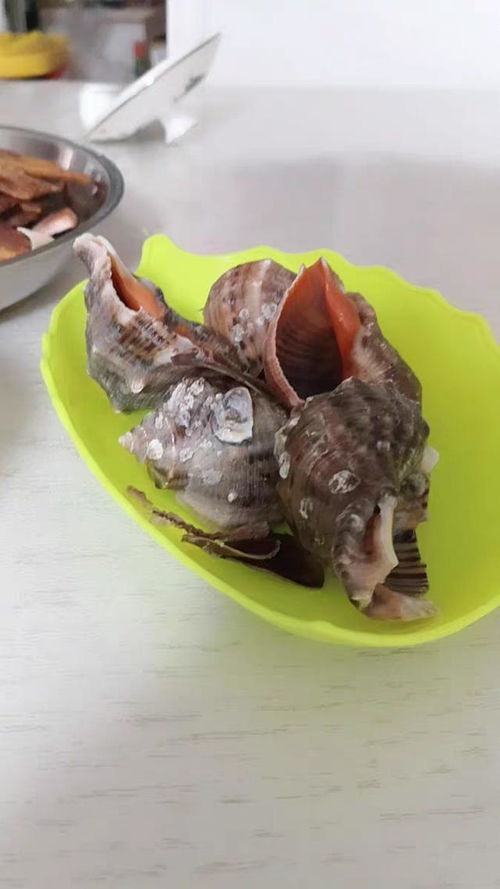 鱼泡富含蛋白质、维生素和矿物质，具有滋补强身、养颜美容的功效