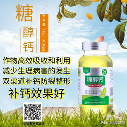 膨果期戊唑醇使用探讨