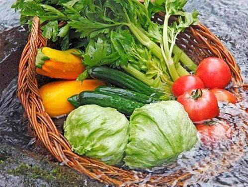 农药残留， 要清洗干净