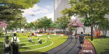 植物创意大赛：自然的魅力与设计的智慧