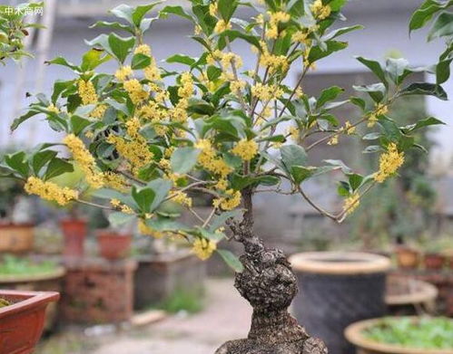 砍价黄金时段， 带上你的宝贝工具