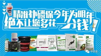 黄金时段锁定， 晨露定律