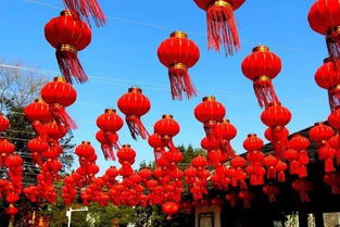 合欢花作为传递友谊与团结的象征，它在我国的文化中扮演着怎样的角色呢