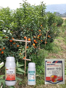 连续使用丙环唑， 病菌抗性增加