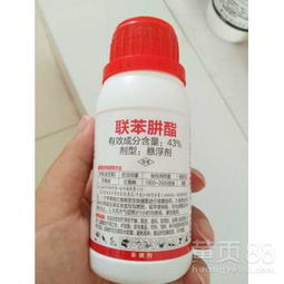 杀虫剂对蜜蜂的伤害
