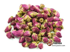 月季花：美容与内分泌调节的神奇之花？