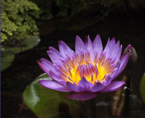 水深太浅的后果