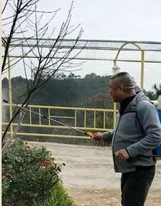 冬季的防寒工作：增强树木的防冻嫩力， 防御病虫害的滋生