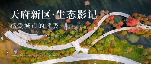 玫瑰如何通过美化与保护环境，提升城市生态价值