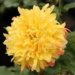 第二步：选个合适的家