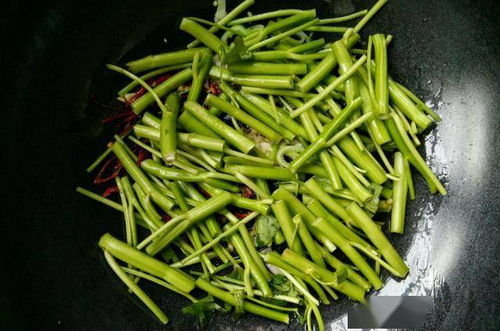 鹅肠菜叶绿茎粗，口感脆嫩
