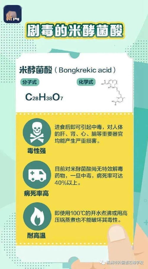 2、 水稻上的小秘密