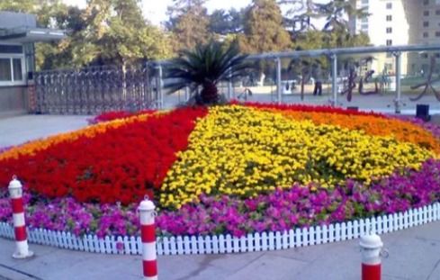 花坛设计， 艺术与自然的融合