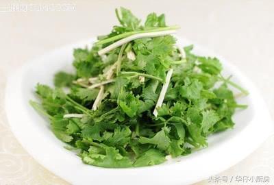 香菜：香气四溢， 虫子绕道