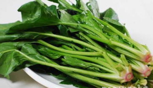 矮菠菜富含多种营养，常吃有益健康
