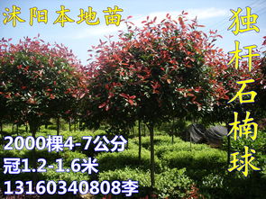 价格表里的秘密