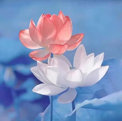 第三步：温度管理