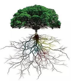 三、 其他农药：树木的“灭顶之灾”