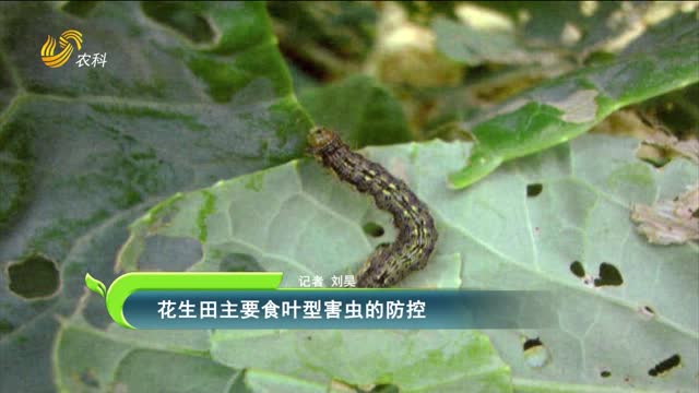 鳞翅目害虫， 种类繁多