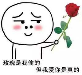 “玫瑰花是我偷的，你信吗