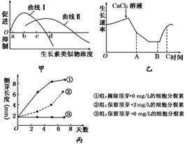 生长抑制剂， 让你停止生长