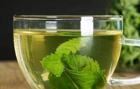 2. 薄荷——清新口气， 消炎止痛