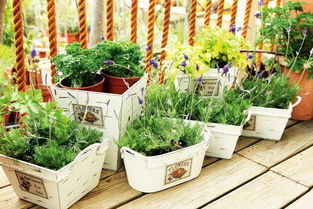 室内香氛小天地