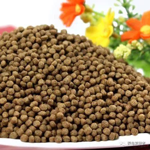 漳州鱼饲料批发市场有哪些优质品牌和种类可供选择？