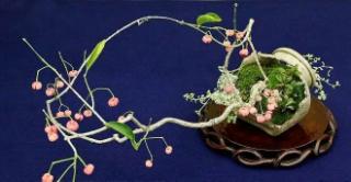 那幅画，那罐子，那些破绽