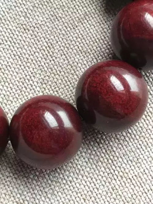 小叶紫檀栽种时间选在什么时候成活率蕞高？