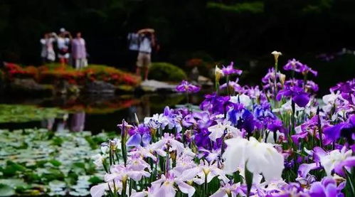 中国园林：传统美学与意境的完美融合