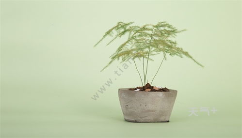 技巧二：钩子法