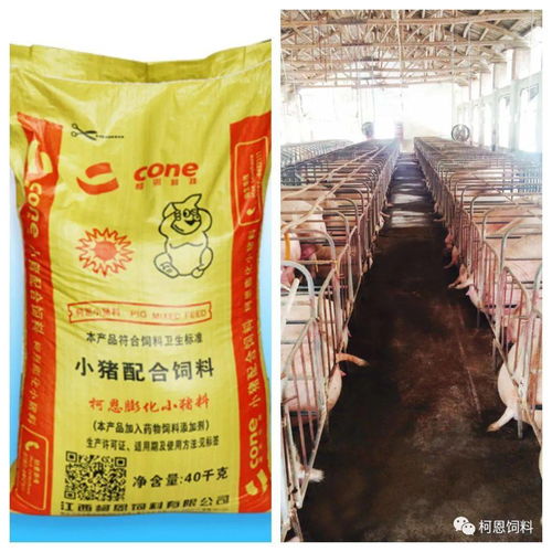 猪饲料销售排行榜中，哪个品牌在饲料育种行业表现最为突出？