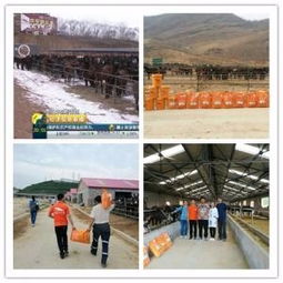 德州开发区饲料厂地址在哪里？德州所有饲料厂具体位置如何查询？