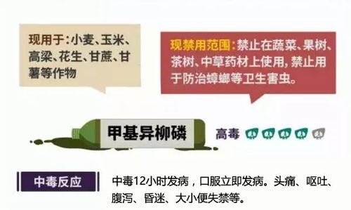 整治行动的影响：辐射全国， 促进发展