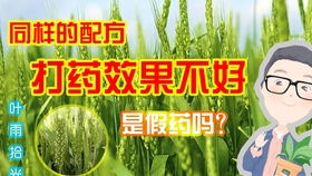 克胜，口碑不错