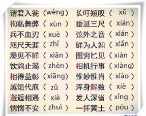 无患子籽播苗四公分难搞怎么办？老农分享3年达标省2万成本秘诀？