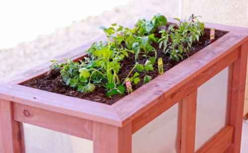 木质花盆适合栽种的花卉推荐