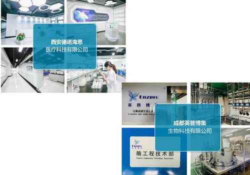 四、乙蒜素的使用注意事项